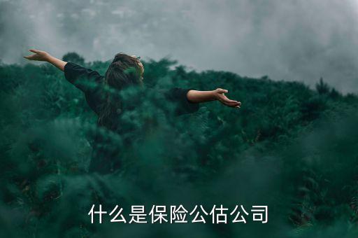 什么是承保公估，保險(xiǎn)中的公估是什么概念