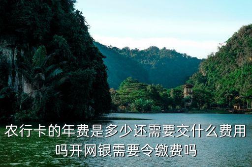 農(nóng)行卡的年費(fèi)是多少還需要交什么費(fèi)用嗎開(kāi)網(wǎng)銀需要令繳費(fèi)嗎