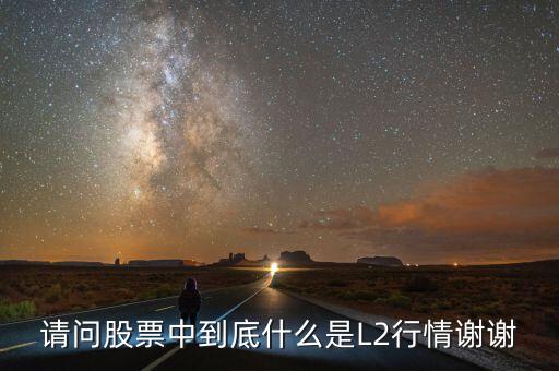請問股票中到底什么是L2行情謝謝