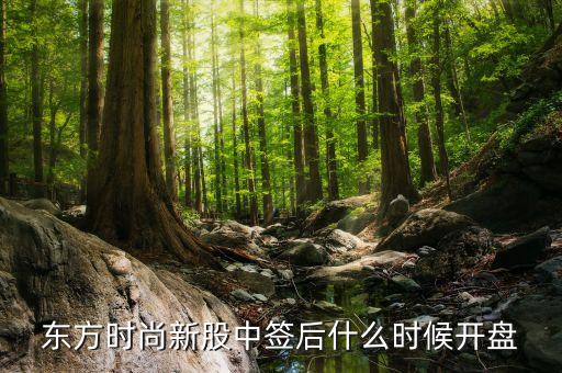 浙江東方股票什么時(shí)候開盤，東方申購(gòu)啥時(shí)候開盤時(shí)間