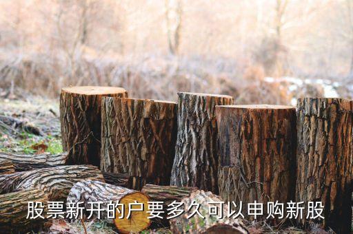 股票新開的戶要多久可以申購新股