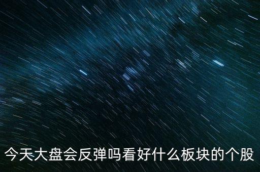 今天大盤會反彈嗎看好什么板塊的個(gè)股