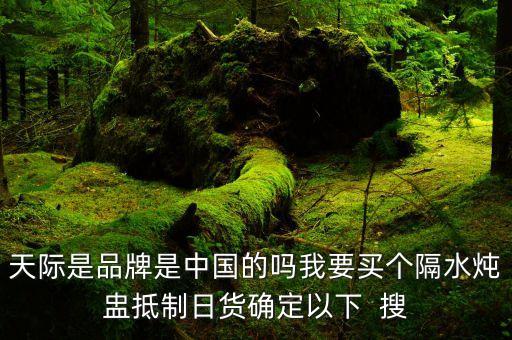 天際股份是什么公司，天際股份有限公司的普工待遇怎樣