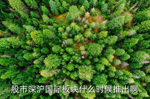 A股國際版什么時(shí)候，股市深滬國際板塊什么時(shí)候推出啊