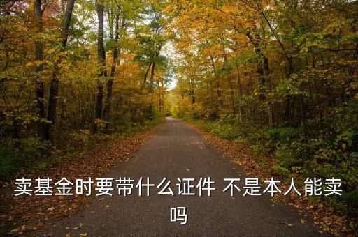 基金賣出需要什么手續(xù)，賣基金要帶甚么手續(xù)呢