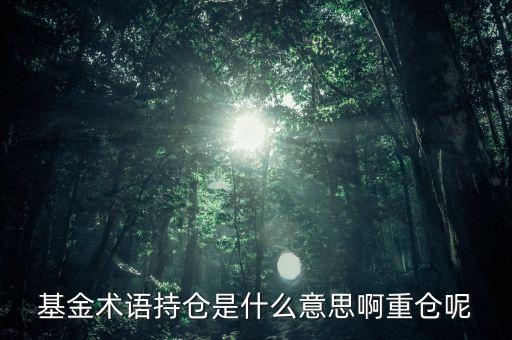 etf持倉是什么意思，基金術(shù)語持倉是什么意思啊重倉呢