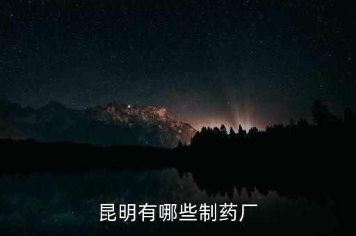 昆藥全資子公司都有什么，昆明有哪些制藥廠