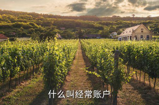 什么是經(jīng)常項目賬戶，經(jīng)常項目賬戶和資本項目賬戶