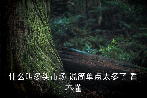 什么叫多頭市道，什么叫多頭市場 說簡單點太多了 看不懂