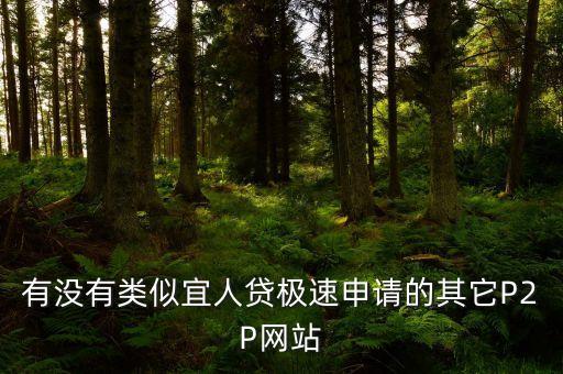 有什么和宜人貸一樣的平臺(tái)，有沒(méi)有類(lèi)似宜人貸極速申請(qǐng)的其它P2P網(wǎng)站