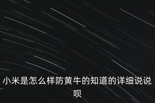 小米對黃牛有什么措施，小米是怎么樣防黃牛的知道的詳細(xì)說說唄