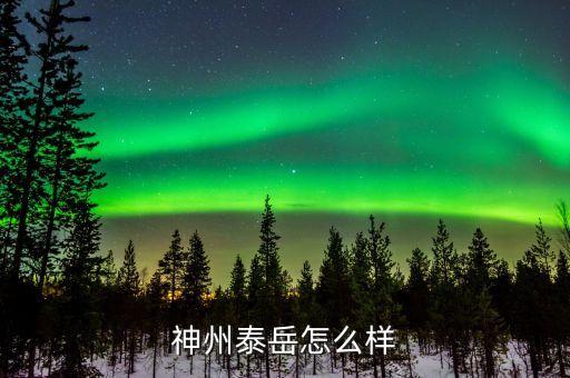神州泰岳是個什么公司，叫什么什么岳的股票有哪些