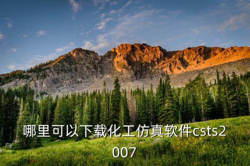 中石化微信代碼是什么，哪里可以下載化工仿真軟件csts2007