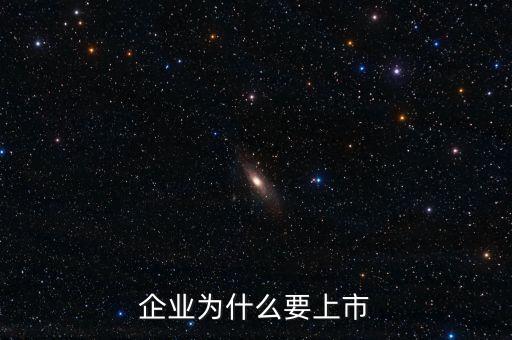 企業(yè)為什么要上市