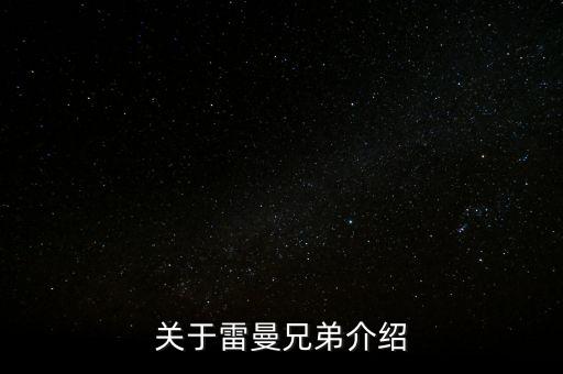 關(guān)于雷曼兄弟介紹