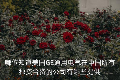 哪位知道美國(guó)GE通用電氣在中國(guó)所有獨(dú)資合資的公司有哪些提供