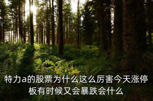 特力a的股票為什么這么厲害今天漲停板有時候又會暴跌會什么
