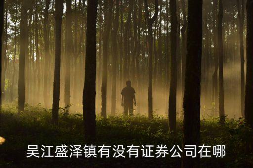 盛澤有什么證券公司，江蘇吳江盛澤哪里能買股票開戶