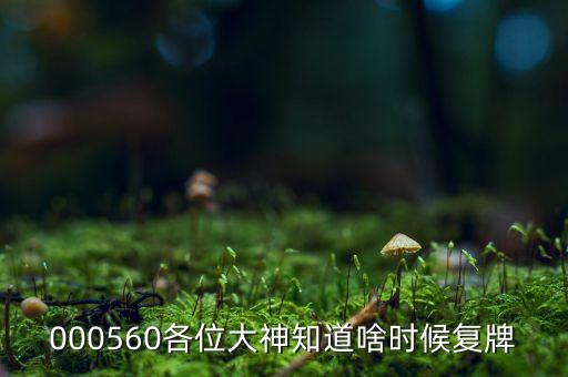 東陽光科什么時(shí)候復(fù)牌，000560各位大神知道啥時(shí)候復(fù)牌