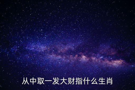 從中取一發(fā)大財指什么生肖
