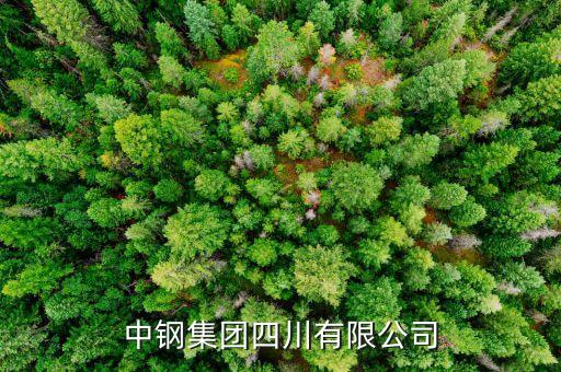 中鋼什么級(jí)別，中尉是什么等級(jí)
