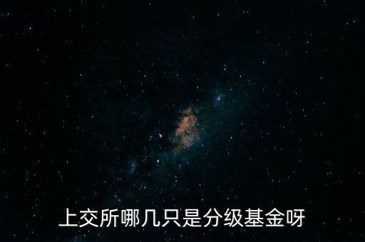 上交所是什么級(jí)別，上交所哪幾只是分級(jí)基金呀