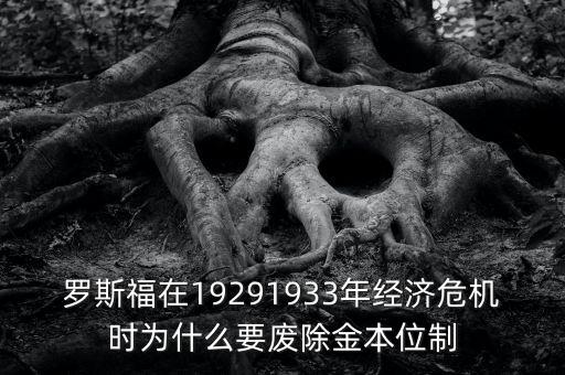 羅斯福在19291933年經(jīng)濟危機時為什么要廢除金本位制