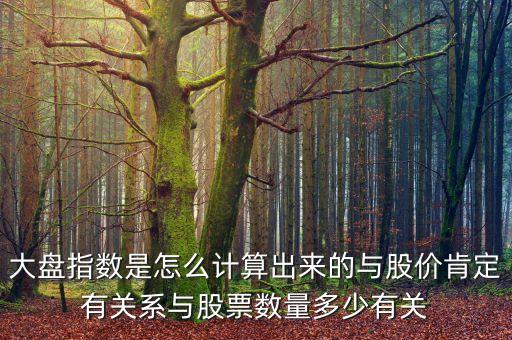 大盤(pán)指數(shù)是怎么計(jì)算出來(lái)的與股價(jià)肯定有關(guān)系與股票數(shù)量多少有關(guān)