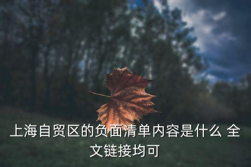 上海自貿(mào)區(qū)負(fù)面清單什么意思，上海自貿(mào)區(qū)負(fù)面清單制度的實(shí)施有哪些經(jīng)濟(jì)意義