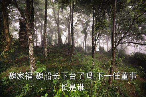 魏家福 魏船長(zhǎng)下臺(tái)了嗎 下一任董事長(zhǎng)是誰(shuí)