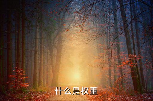 什么是權(quán)重