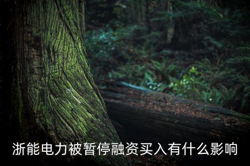 浙能電力被暫停融資買(mǎi)入有什么影響