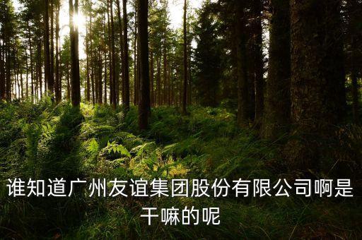 誰知道廣州友誼集團股份有限公司啊是干嘛的呢