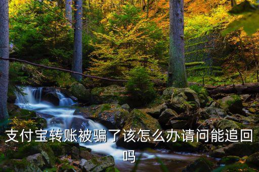 九鼎投資什么時(shí)候復(fù)牌，支付寶轉(zhuǎn)賬到銀行卡不到賬怎么辦