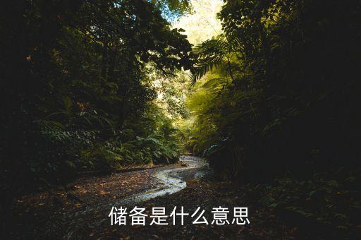 現(xiàn)金儲(chǔ)備是什么意思，現(xiàn)金儲(chǔ)備是現(xiàn)金嗎比如蘋果現(xiàn)金儲(chǔ)備2600億美金