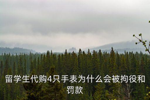 留學(xué)生代購4只手表為什么會(huì)被拘役和罰款
