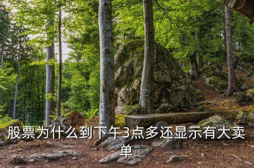 股票為什么到下午3點(diǎn)多還顯示有大賣單