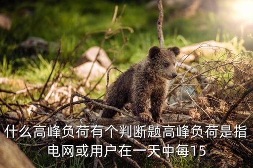 什么是高峰負(fù)荷，什么高峰負(fù)荷有個(gè)判斷題高峰負(fù)荷是指電網(wǎng)或用戶在一天中每15