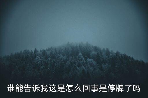 誰能告訴我這是怎么回事是停牌了嗎