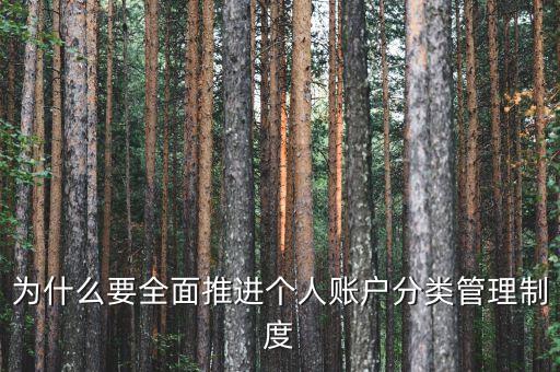 為什么進(jìn)行賬戶分類，為什么要全面推進(jìn)個(gè)人賬戶分類管理制度