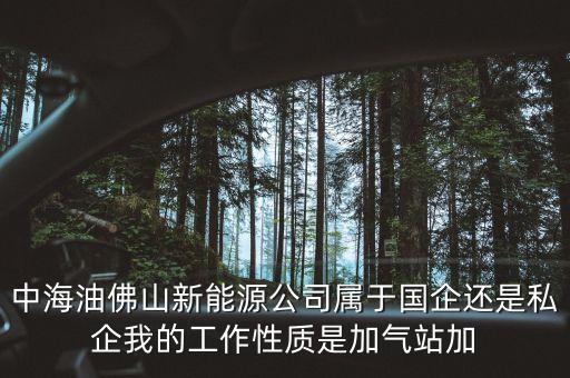 中海油佛山新能源公司屬于國(guó)企還是私企我的工作性質(zhì)是加氣站加