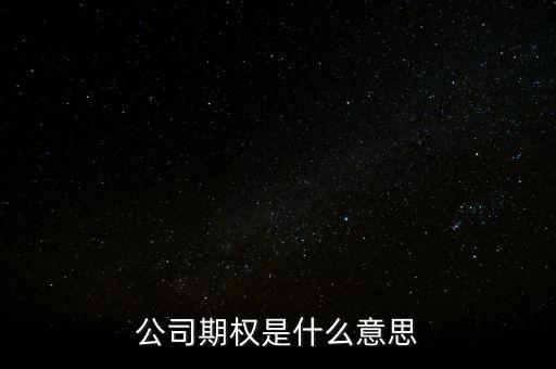 什么叫公司期權(quán)，公司期權(quán)是什么