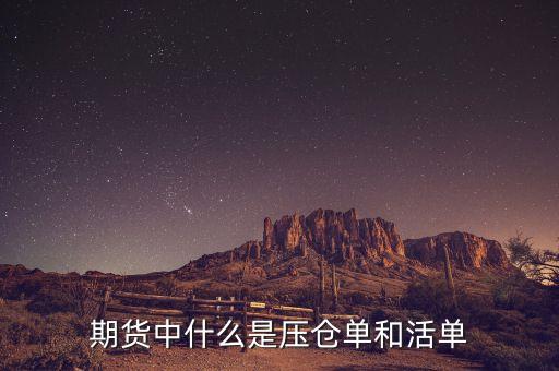 上海期貨交易所標準倉單是什么，期貨中倉單是什么