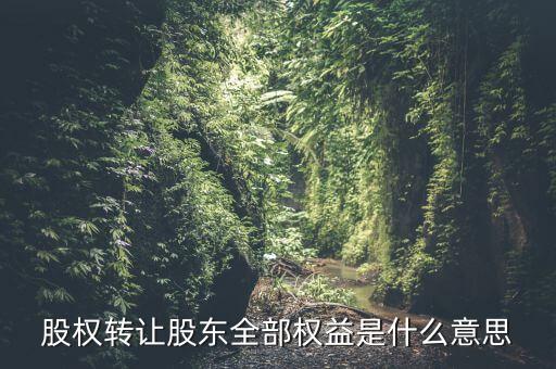 什么是全權(quán)益公司，股權(quán)轉(zhuǎn)讓股東全部權(quán)益是什么意思