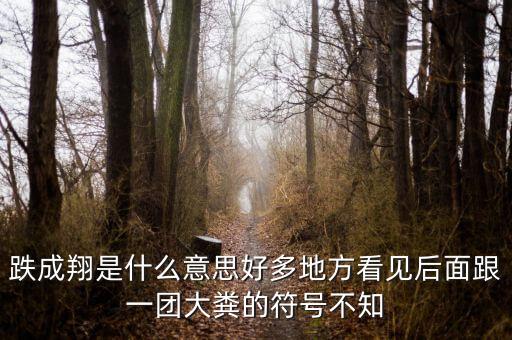 跌成翔什么意思，股市跌成翔的意思