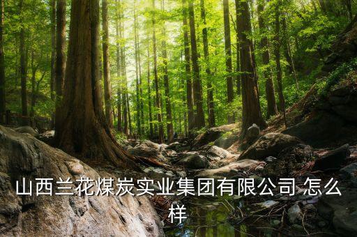 山西蘭花煤炭實業(yè)集團(tuán)有限公司 怎么樣