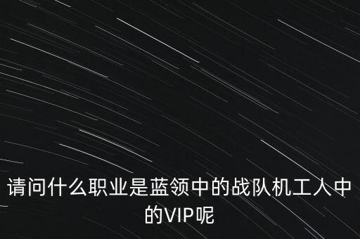 請問什么職業(yè)是藍(lán)領(lǐng)中的戰(zhàn)隊(duì)機(jī)工人中的VIP呢