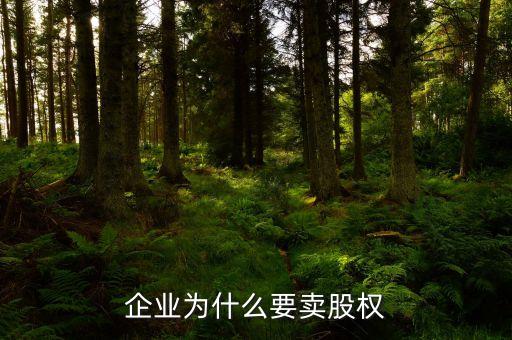 為什么大企業(yè)要賣股，企業(yè)為什么要賣股權(quán)