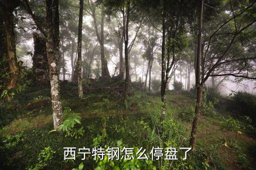 西寧特鋼為什么停牌，西寧特鋼怎么停盤了