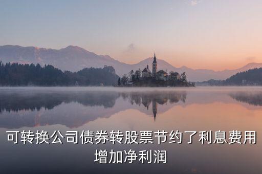 為什么我國可轉(zhuǎn)換債券采用賬面價(jià)值法，我國2006年企業(yè)會(huì)計(jì)準(zhǔn)則對可轉(zhuǎn)換債券采取的是哪一種處理方法為何會(huì)